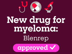 Infographic about blenrep