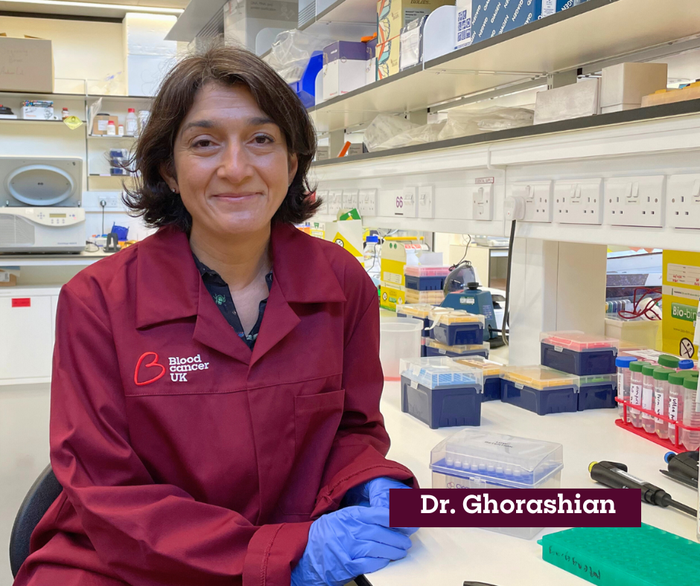 Dr Sara Ghorashian sat in the lab, wearing a red Blood Cancer UK lab coat.