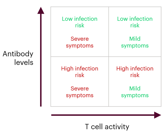 Vaccines bring hope, but it will still be far from normal for