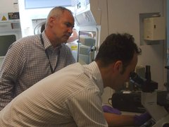 Professor Brian Huntly