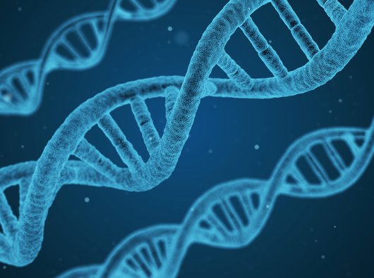 A digital illustration of a blue DNA helix.