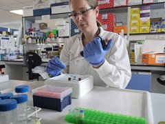 Dr Lisa Russell working in the lab, wearing a white lab coat.