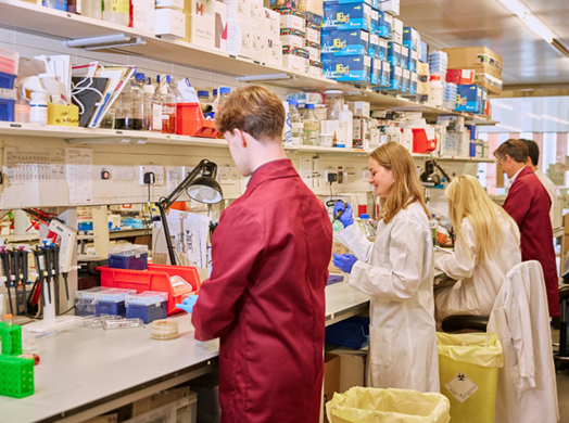 Researchers in a lab smiling in lab coats working