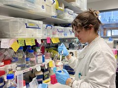A lady wearing a white lab coating working away in the lab.