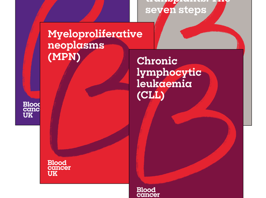 A graphic collection of covers of Blood Cancer UK patient information.