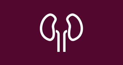 A simple graphic of two kidneys, representing possible effects of blood cancer or its treatment