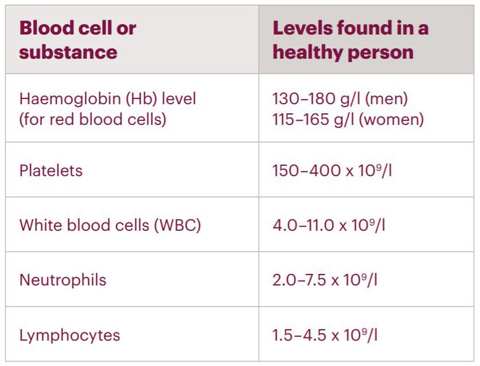 Blood cells  Blood Cancer UK