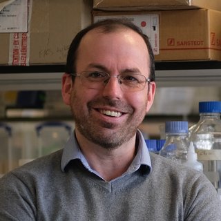 Headshot of Professor David Kent in the lab smiling.