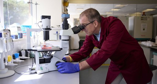 A researcher in a Blood Cancer UK funded lab, looking through a microscope.