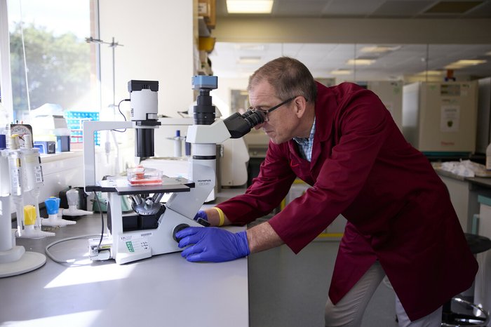 A researcher in a Blood Cancer UK funded lab, looking through a microscope.