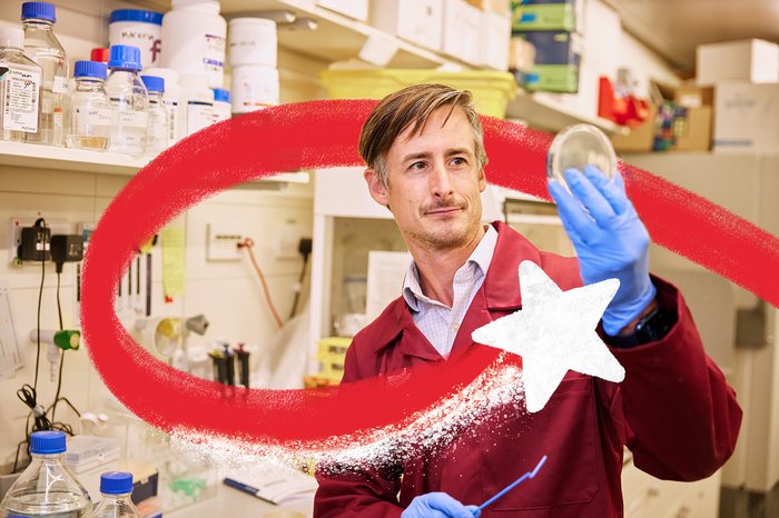 A researcher in a laboratory looks at a petri dish which he is holding up to the light. A red and white Christmas star swirls around him and there are lab supplies in the background.