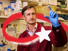 A researcher in a laboratory looks at a petri dish which he is holding up to the light. A red and white Christmas star swirls around him.