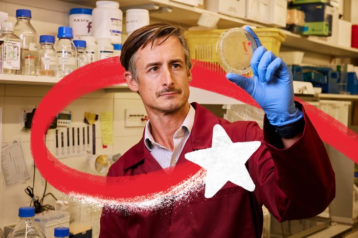 A researcher in a laboratory looks at a petri dish which he is holding up to the light. A red and white Christmas star swirls around him.