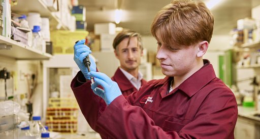 A researcher in a lab, conducting an experiment using a pipette.