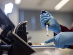 Close up of a researcher's hand and a pipette in the lab.