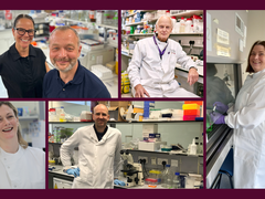 A collage of images of our 5 new researchers working in the lab