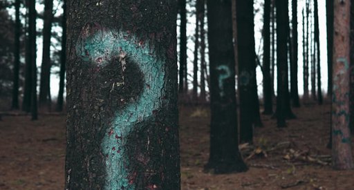 A forest of trees with question marks on them