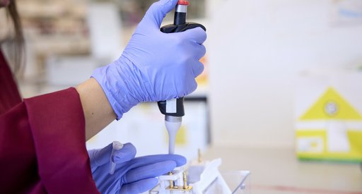 Close up of a researchers hands, working in a laboratory. The person is wearing blue protective gloves and a Blood Cancer UK lab coat, and is using some laboratory equipment.