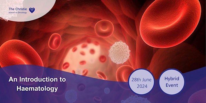 Study day for healthcare professionals working in hematology or blood cancer.