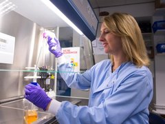 A scientist - Professor Michelle West - working in a lab at the University of Sussex
