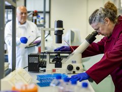 A woman in a laboratory looking at a sample through a microscope