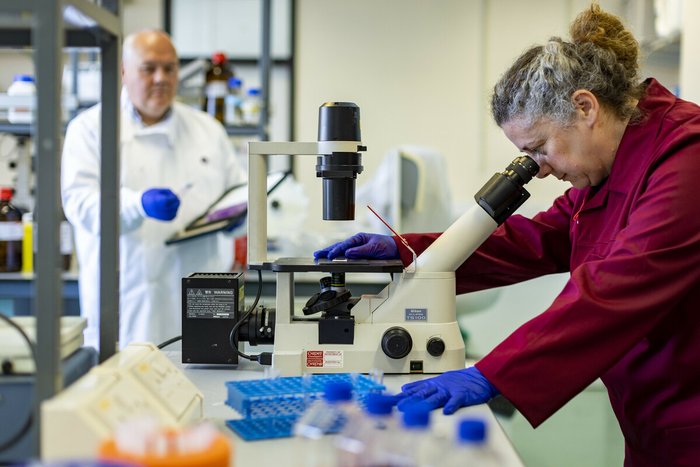 A woman in a laboratory looking at a sample through a microscope