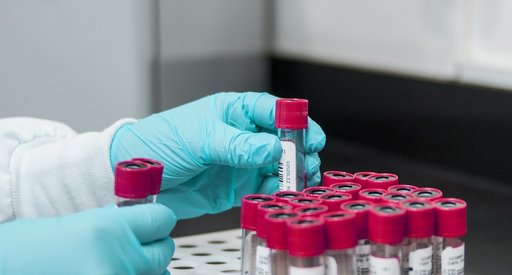 A researcher puts test tubes containing blood into a rack
