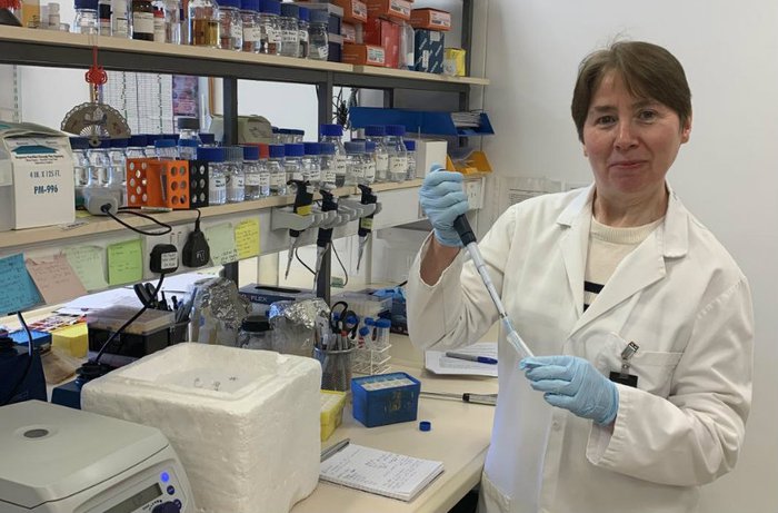 A scientis - Professor Joan Boyes - poses for a photograph in her lab