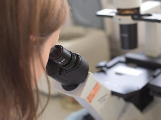 Close-up of a researcher looking through the lens of a microscope in a lab.