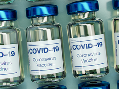 Close-up of Covid-19 vaccine vials laid out in rows.